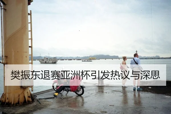 樊振东退赛亚洲杯引发热议与深思